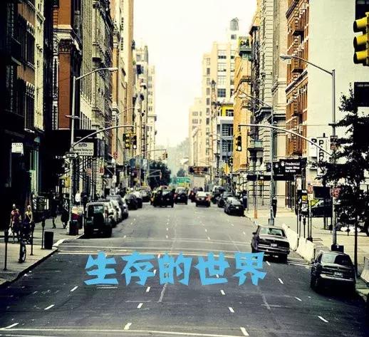 cdn冷门,cdn良性竞争