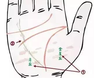 手诊了解一个人的性格和健康,十个最简单的手诊图