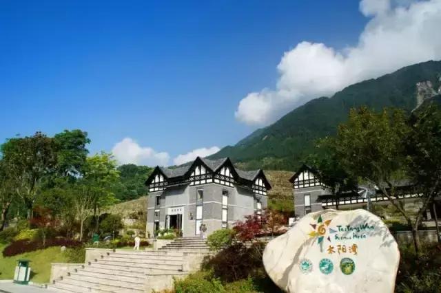 四川青城山景区免票,四川对浙江省免票的旅游景区