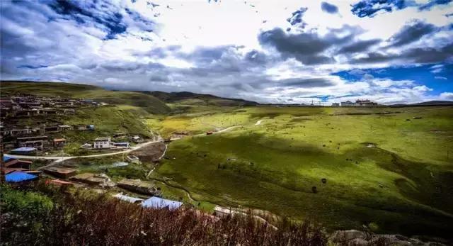 四川青城山景区免票,四川对浙江省免票的旅游景区