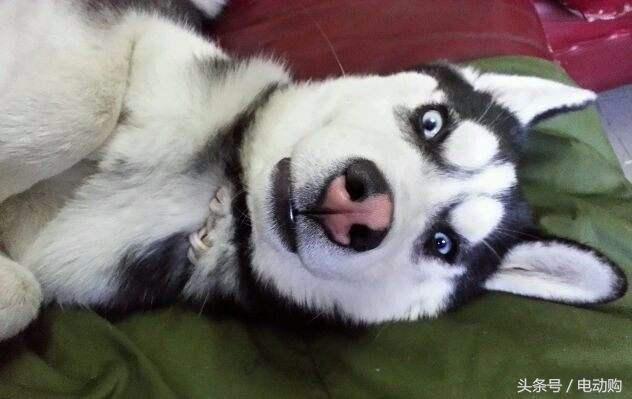 比亚迪速锐评论,比亚迪速锐e52012款