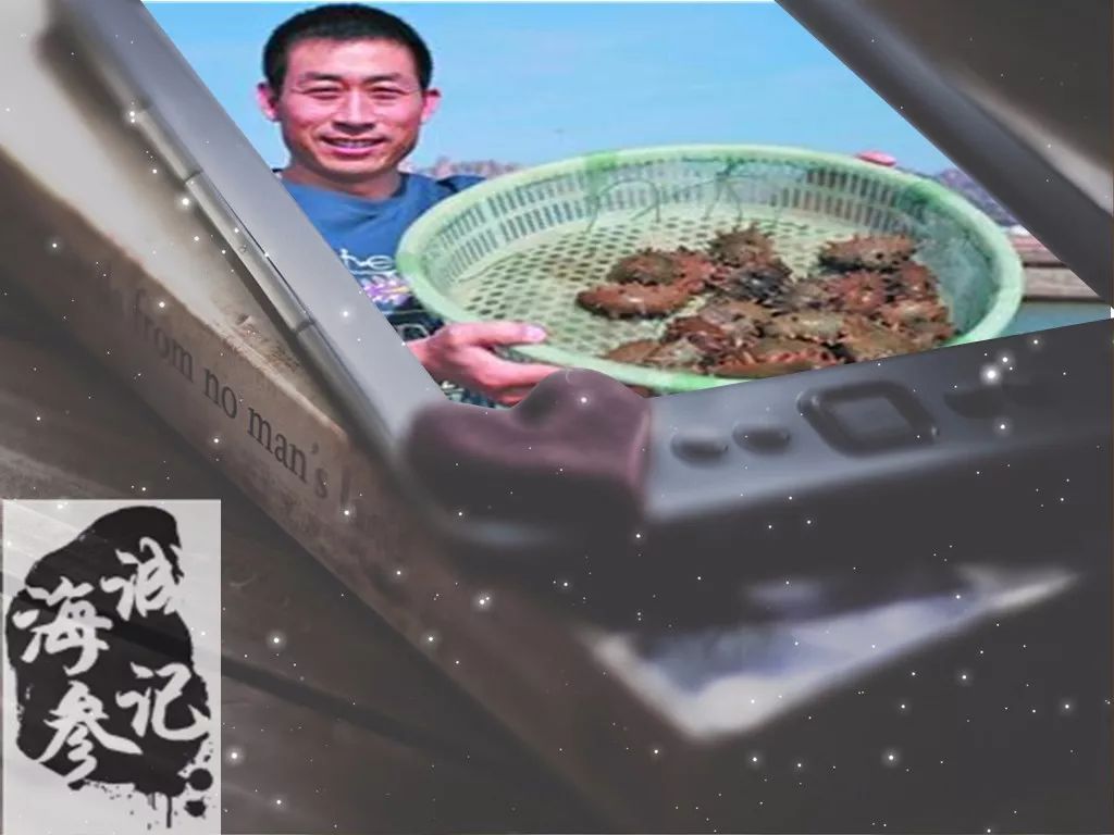 震惊正宗海参竟卖这么低的价格,海参价格良心到爆