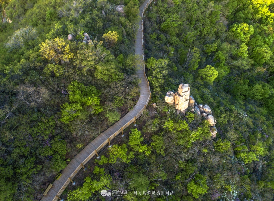 周总理关注的“辽西绿岛”已是天然氧吧