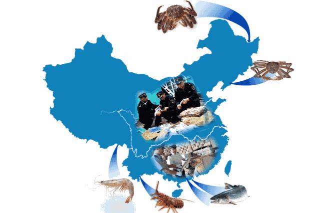 正关和边贸区别,共同海鲜与单独海鲜的区别