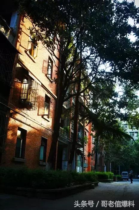 绵阳跃进路打卡,绵阳跃进路取景