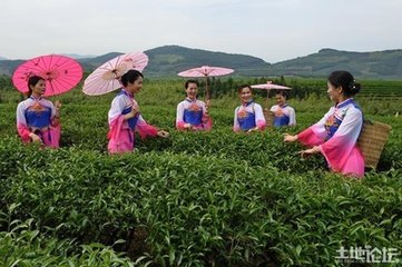 婀栧寳鎭╂柦鍦熷钘よ尪,鎭╂柦鍦熷钘よ尪鍔熸晥