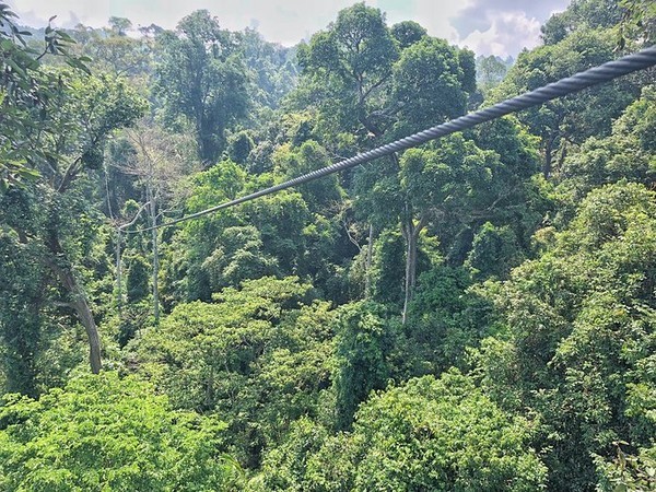 2024泰国泼水节攻略,2022年的泰国芭提雅泼水节