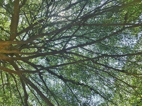 泼水节旅游详细攻略,泼水节应该去曼谷还是芭提雅