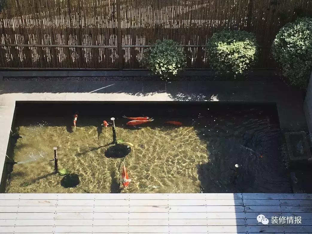 青山绿水石阶竹篱,这样的家谁会不喜欢?