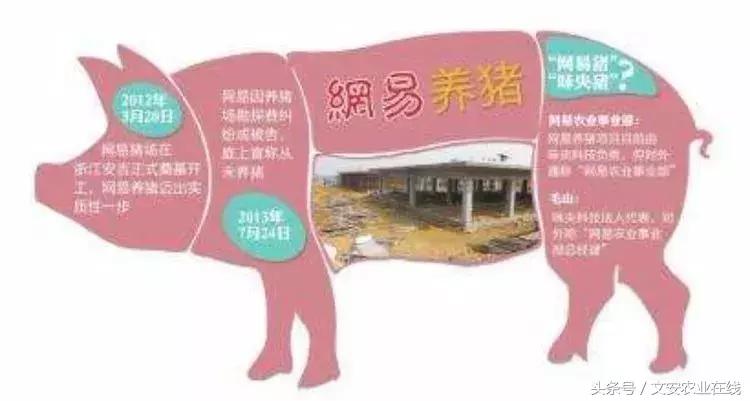 为什么大佬都投入农业,为什么商业大佬都去搞农业