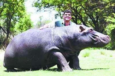 震惊世界的奇葩宠物,外国人养的奇葩宠物