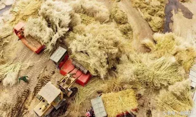 蒲江农田补贴政策,海门现代农业扶持政策