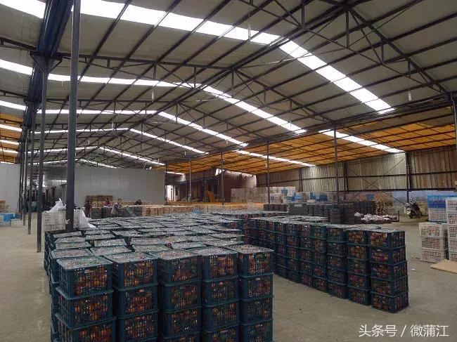 蒲江农田补贴政策,海门现代农业扶持政策