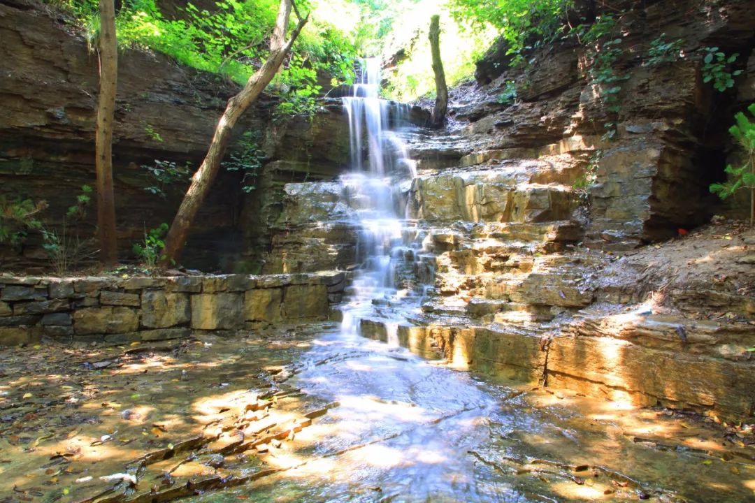 端午节我们要划龙舟还要干什么呢,端午节划龙舟的地方在哪里