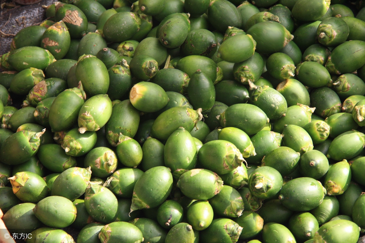 加工之后的槟榔有什么坏处,吃槟榔的坏处视频宣传