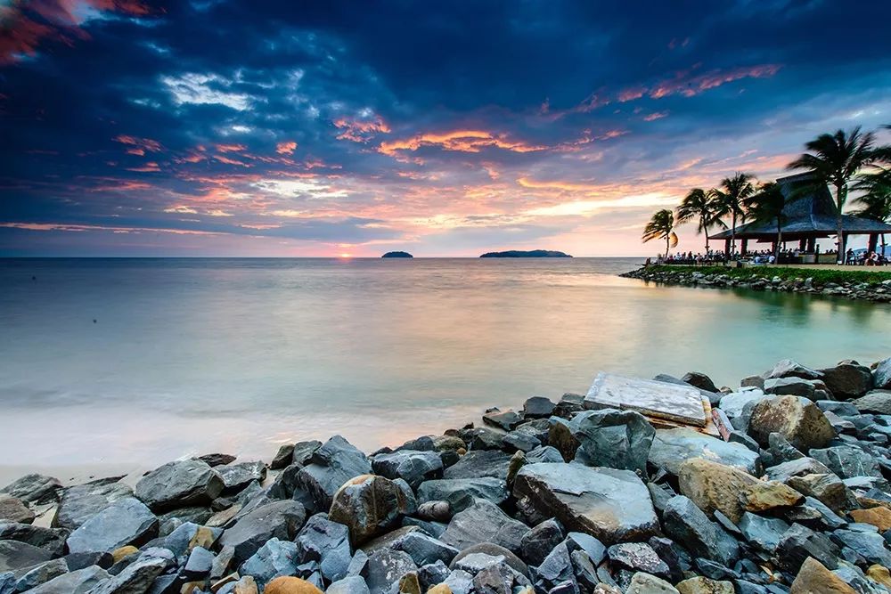 大个头大智慧,大脑门子大智慧