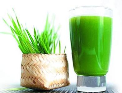大麦青汁有什么功效减肥,大麦青汁的功效与作用是真的吗