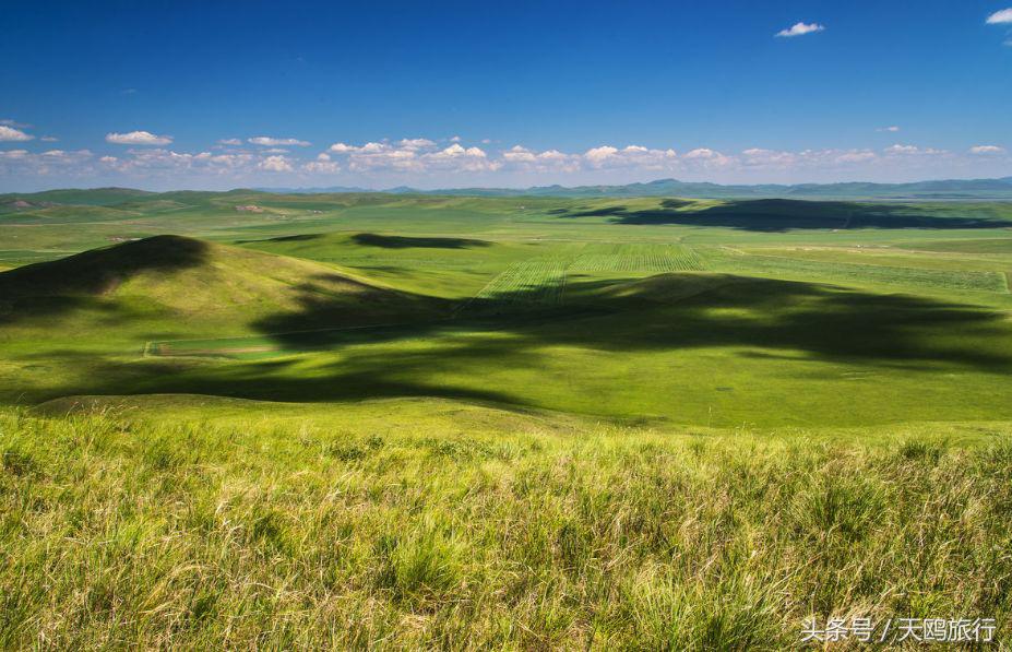 野狼谷乌拉盖狼王,乌拉盖野狼谷还有狼王吗