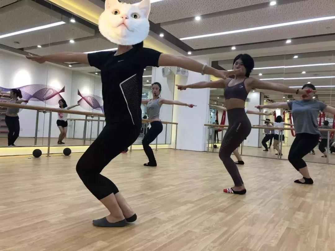 塑形健身健身房,tif健身房