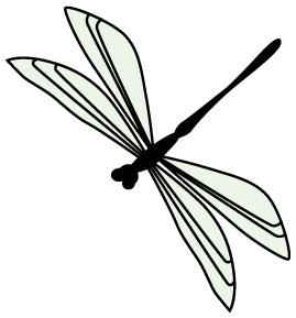 十二种超级食物,六种便宜的超级食物