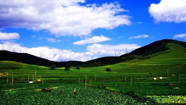 中国旅游日邯郸免门票景点,邯郸景区免费一日游