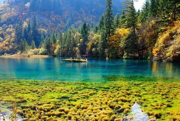 旅游执法的十大骗局,旅游被骗的最大骗局是哪个