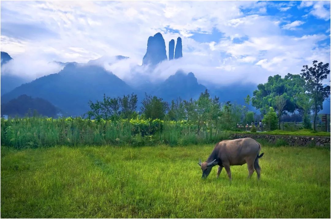 余杭一日游最佳景点,余杭人福利