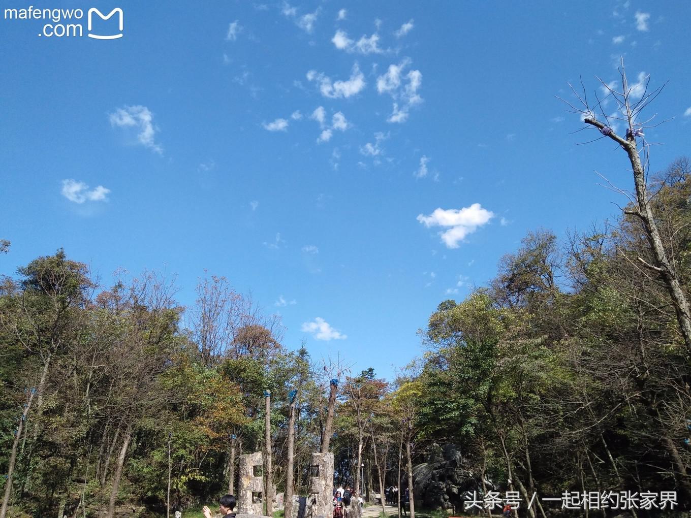 张家界机场到天门山自由行攻略,张家界天门山一日游攻略省钱