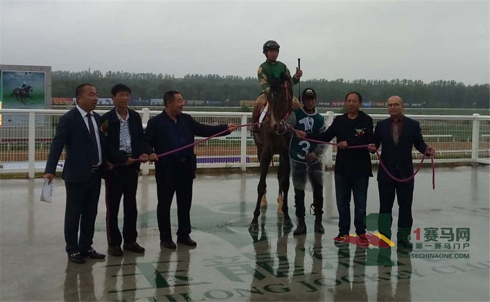 「现场」玉龙今日开锣赛，各路诸侯鏖战百万奖金！马主李勇夺最高奖金，“吉祥如意”马主王福军首战载誉归——1赛马网