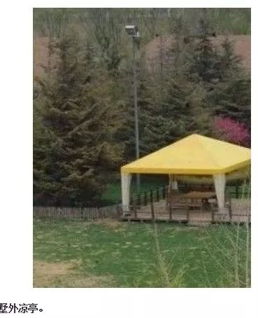 范冰冰包租婆,范冰冰包租公完整版