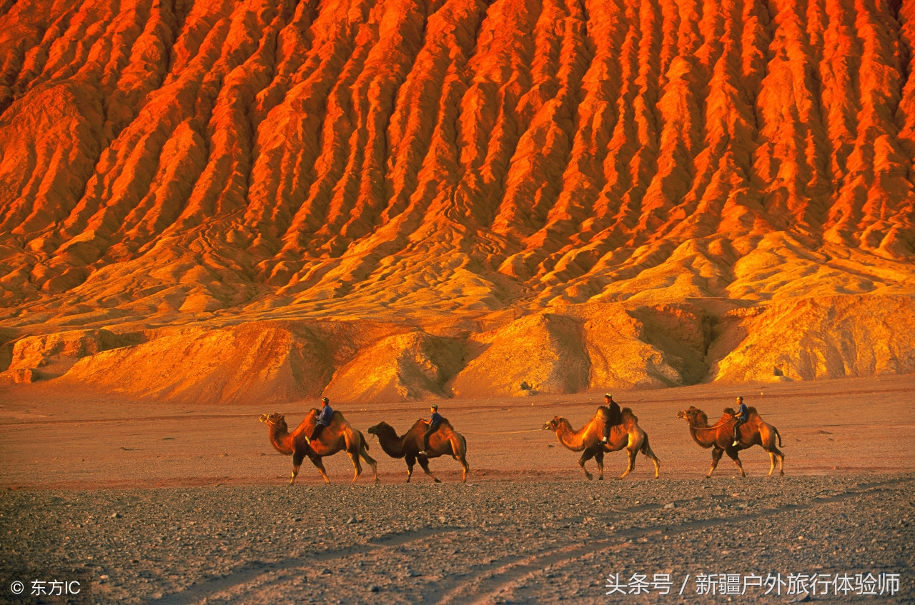 南疆-独库公路寻梦