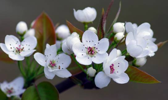 全域旅游示范区永泰县,福建泉州市永泰县