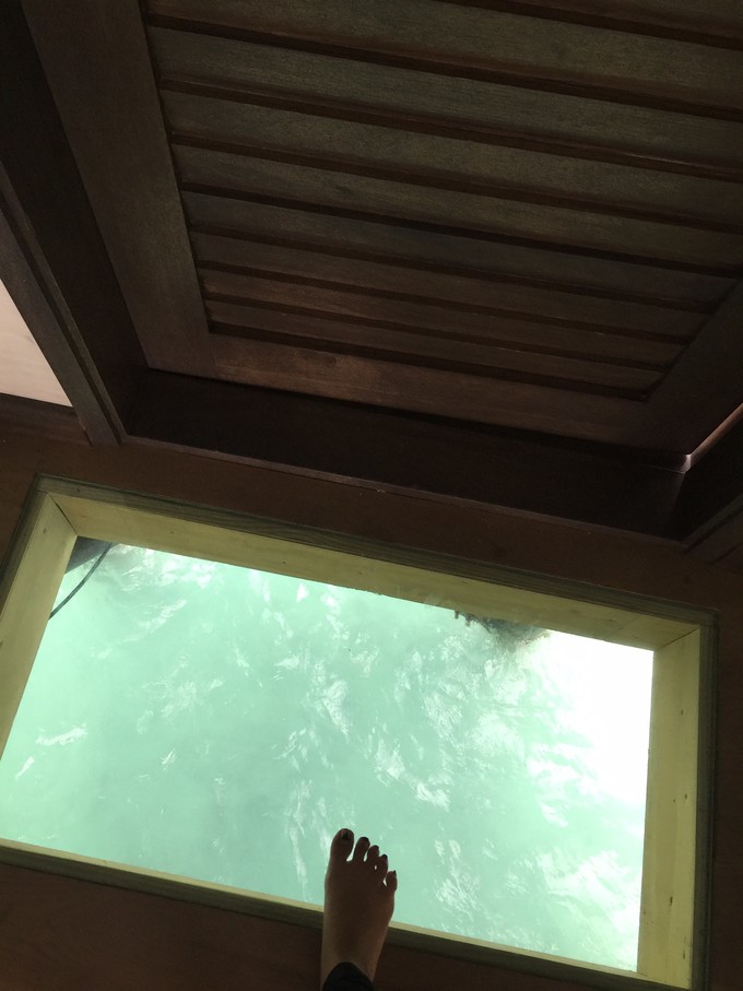 马代有毒，去过就停不下来~马尔代夫奥臻岛ozen