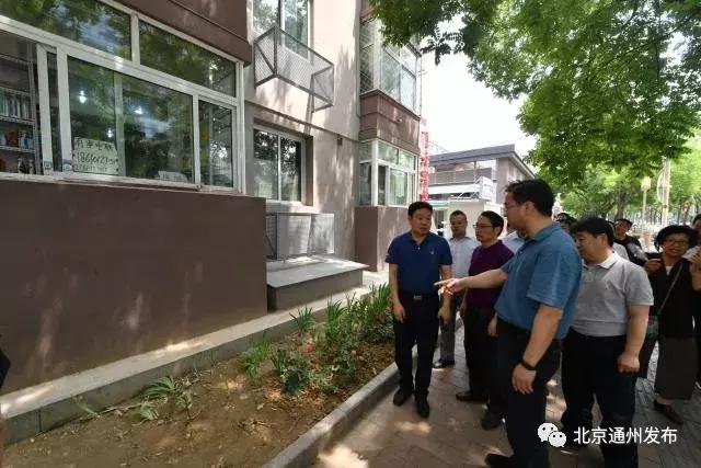 区领导深入乡督导检查重点工作,区领导调研督导环保工作