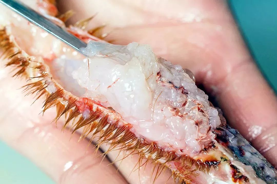 天津好吃实惠的日料,天津物美价廉的日料