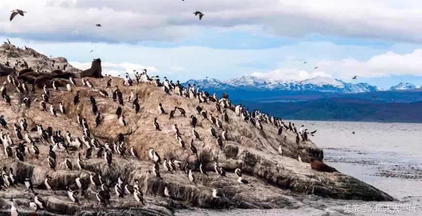 去了夏威夷才知道女人不用穿bra,去了斐济才知道,男人不爱穿裤子