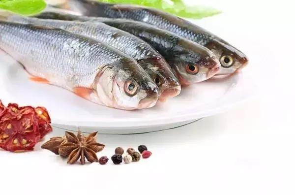 中国黑龙江的鳇鱼,探秘黑龙江鳇鱼