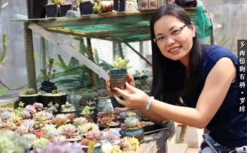 我的爱多肉原版视频,多肉我的一生所爱原版