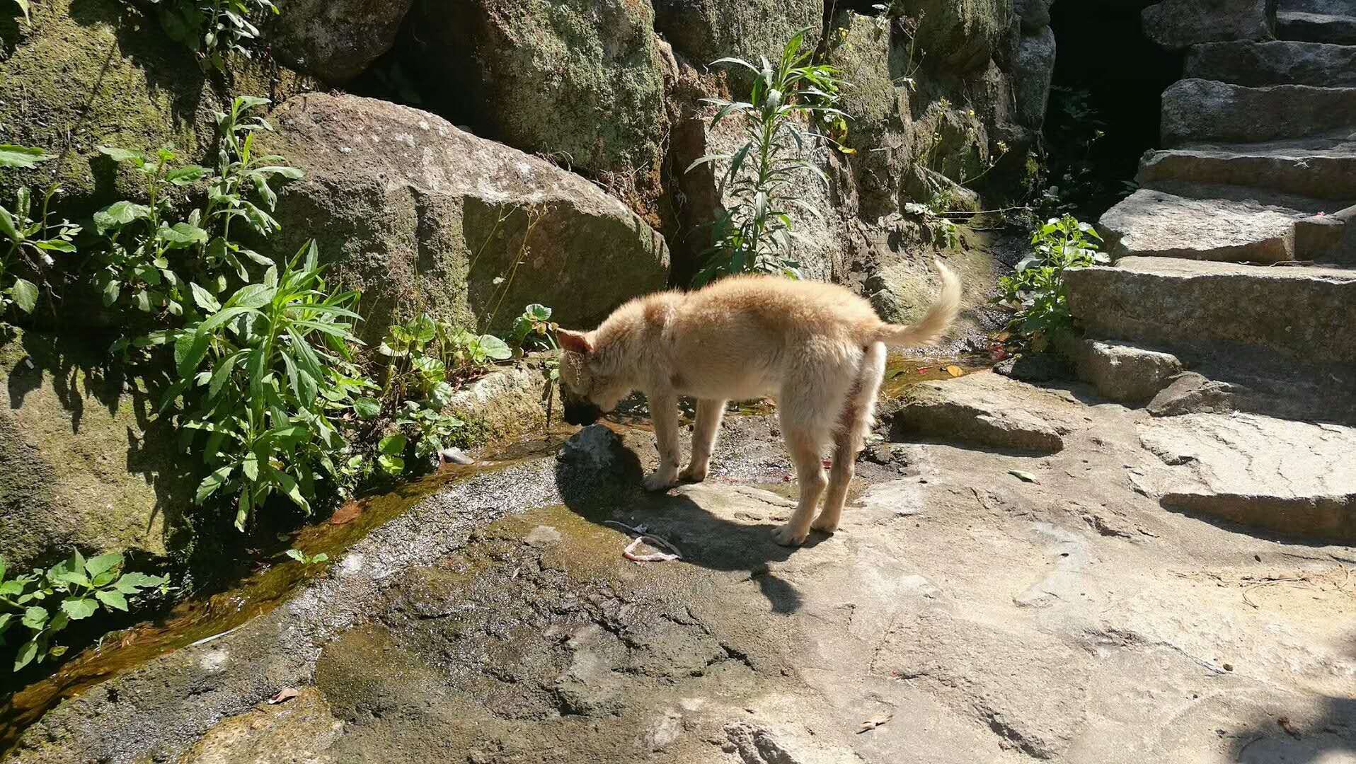 葵潭的往事,葵潭的专属话题