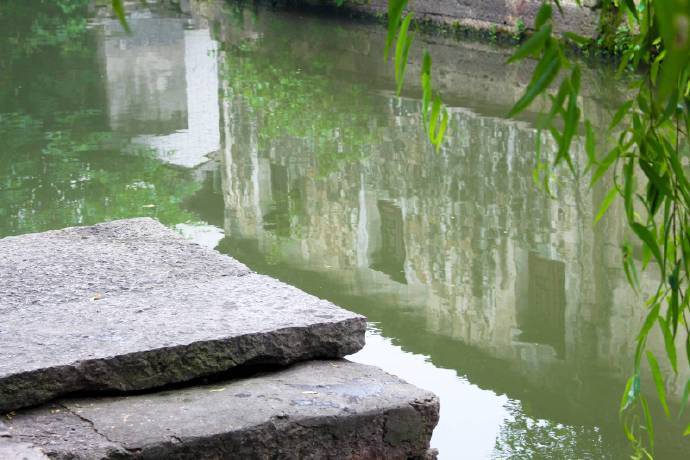 描写杨柳的诗句有哪些六年级下册,描写杨柳景色的优美句子