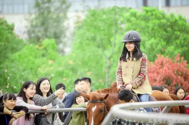 武汉有名的别称,武汉各个大学绰号