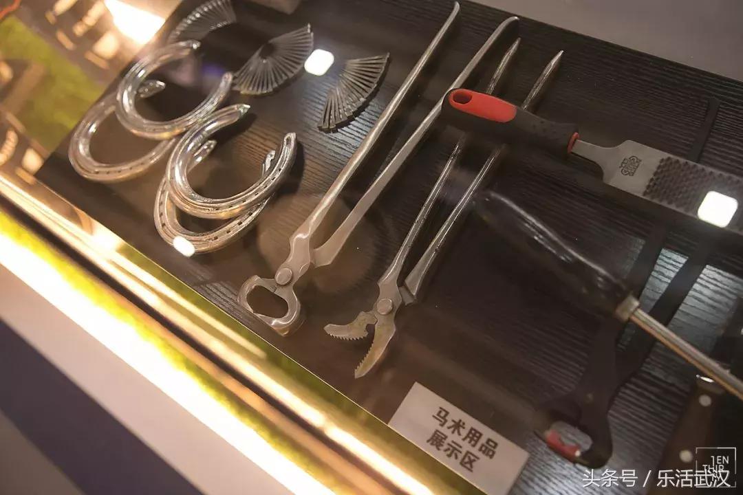 武汉学风好的大学,武汉高校外号