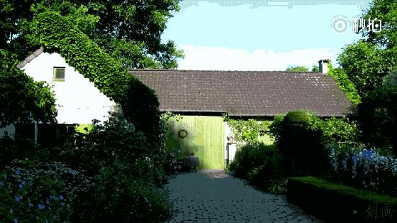 抑郁症疗愈花园,抑郁情绪疗愈法