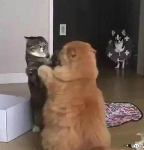 儿童报警求助知识,孩子报警求助教科书