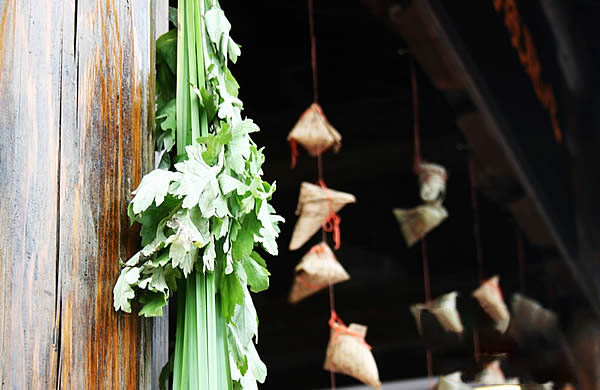 艾草怎么入药好吃呢,艾草夏天有妙用既是药材也是食材