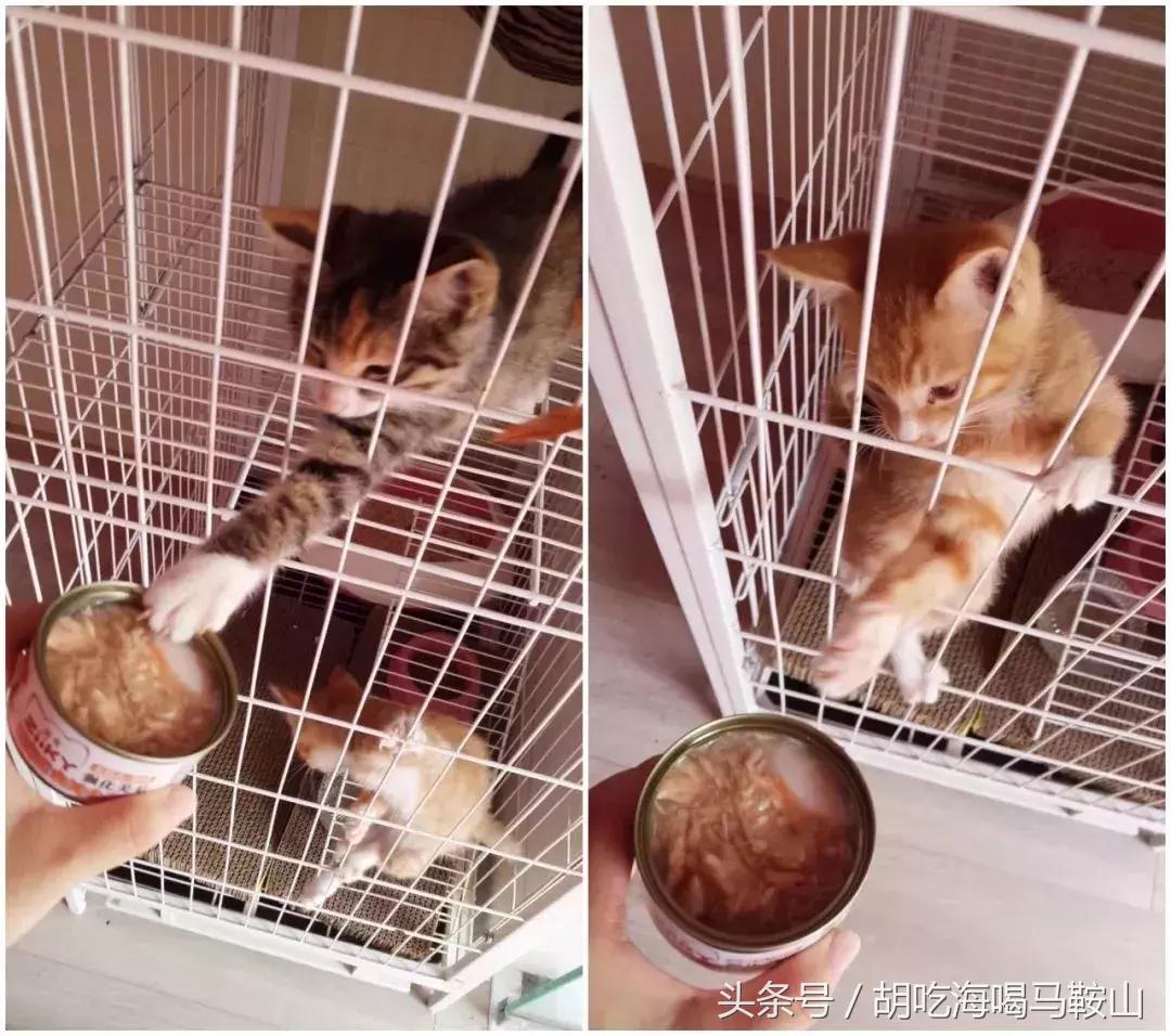 马鞍山有网红打卡基地吗,重庆马鞍山网红打卡景点