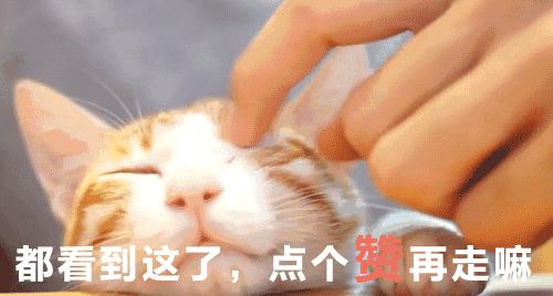 长期憋尿对身体的危害,长期憋尿对身体有什么危害呢