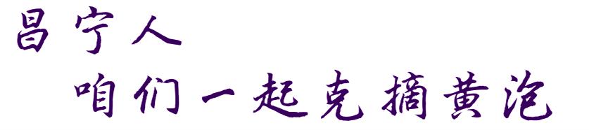 无刺黄泡采摘园昌宁,昌宁摘黄泡的地方