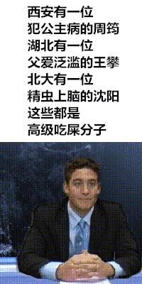 荷兰猪的智商有多可怕,任何时候都不要小瞧每一个人