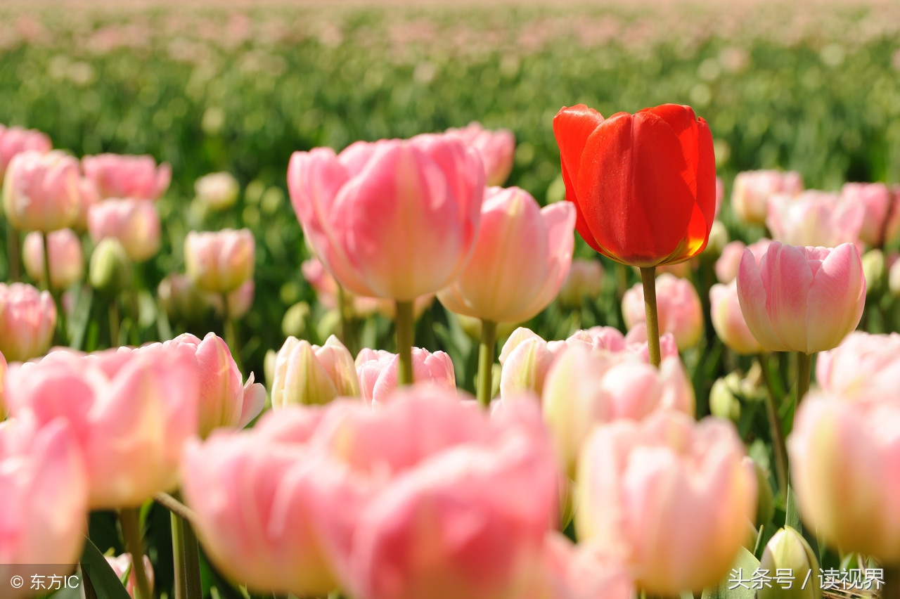 痛苦可怕吗,痛苦为什么放不下